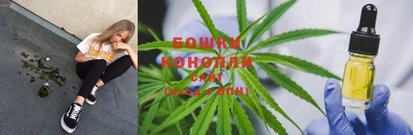 PSILOCYBIN Лагань