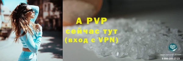 spice Лабытнанги
