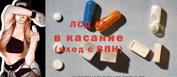 PSILOCYBIN Лагань